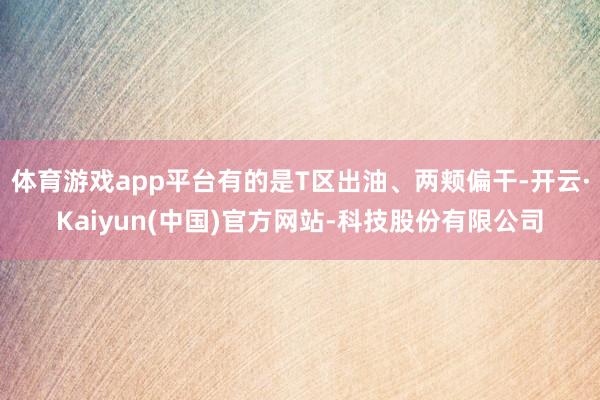 体育游戏app平台有的是T区出油、两颊偏干-开云·Kaiyun(中国)官方网站-科技股份有限公司