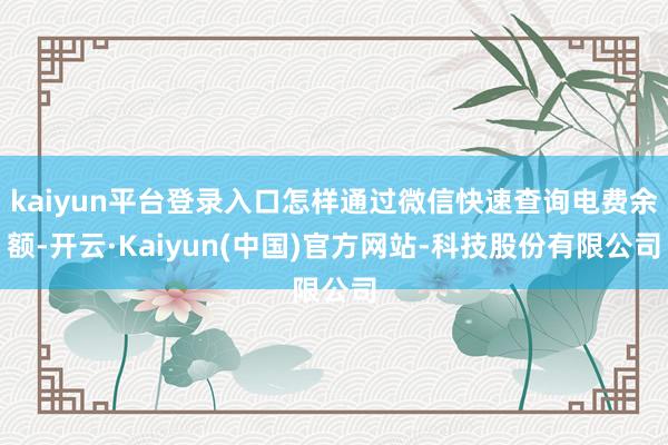 kaiyun平台登录入口怎样通过微信快速查询电费余额-开云·Kaiyun(中国)官方网站-科技股份有限公司
