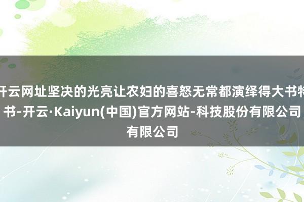 开云网址坚决的光亮让农妇的喜怒无常都演绎得大书特书-开云·Kaiyun(中国)官方网站-科技股份有限公司