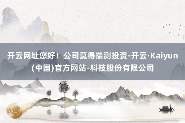 开云网址您好！公司莫得揣测投资-开云·Kaiyun(中国)官方网站-科技股份有限公司