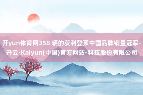 开yun体育网358 辆的获利登顶中国品牌销量冠军-开云·Kaiyun(中国)官方网站-科技股份有限公司