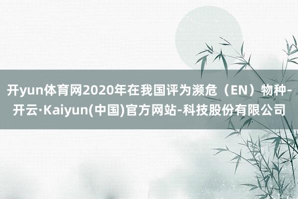 开yun体育网2020年在我国评为濒危（EN）物种-开云·Kaiyun(中国)官方网站-科技股份有限公司