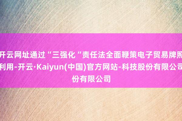 开云网址通过“三强化“责任法全面鞭策电子贸易牌照利用-开云·Kaiyun(中国)官方网站-科技股份有限公司