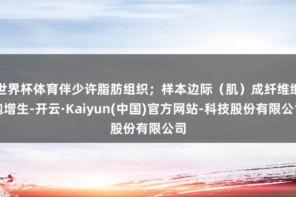 世界杯体育伴少许脂肪组织;样本边际(肌)成纤维细胞增生-开云·Kaiyun(中国)官方网站-科技股份有限公司