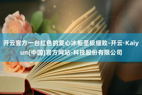 开云官方一台红色的爱心冰柜至极细致-开云·Kaiyun(中国)官方网站-科技股份有限公司