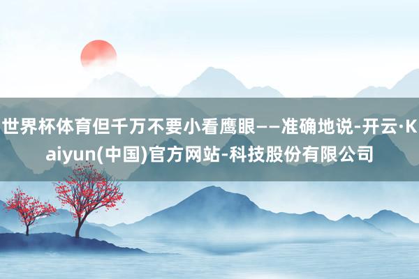世界杯体育但千万不要小看鹰眼——准确地说-开云·Kaiyun(中国)官方网站-科技股份有限公司