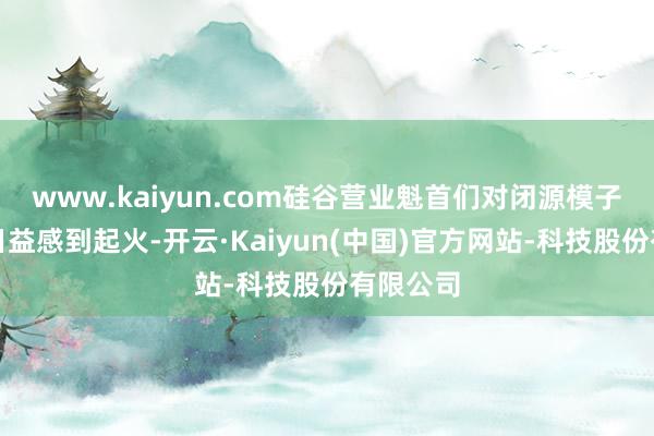 www.kaiyun.com硅谷营业魁首们对闭源模子的本钱日益感到起火-开云·Kaiyun(中国)官方网站-科技股份有限公司
