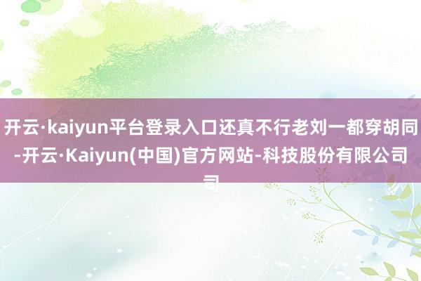 开云·kaiyun平台登录入口还真不行老刘一都穿胡同-开云·Kaiyun(中国)官方网站-科技股份有限公司