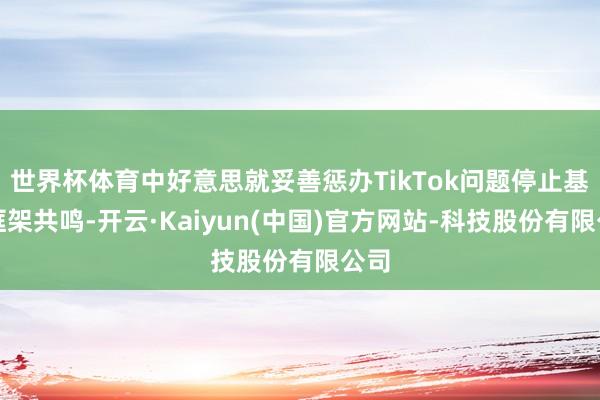 世界杯体育中好意思就妥善惩办TikTok问题停止基本框架共鸣-开云·Kaiyun(中国)官方网站-科技股份有限公司