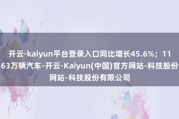 开云·kaiyun平台登录入口同比增长45.6%;11月请托3.63万辆汽车-开云·Kaiyun(中国)官方网站-科技股份有限公司